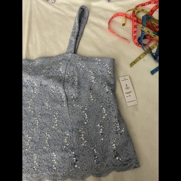 NWT ALEX EVENINGS Lace Sleeveless Square Neck Top Top in Hydrangea [SZ 2X‎ ] - Picture 6 of 14